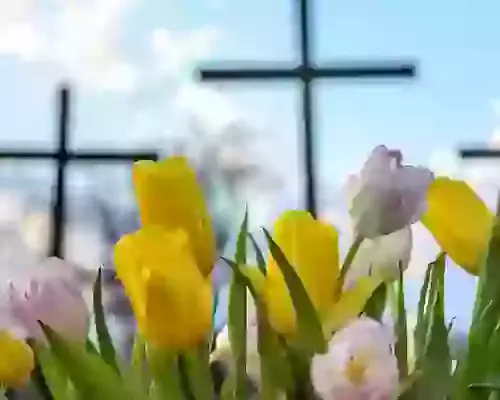 What Serena, setbacks, and scripture teach us this Easter